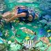 Albert Blue Sea - Facebook