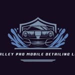 Albert Bohn Garcia - @valleypro_mobiledetailing - Instagram