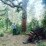 Albert Bosch - @betubosch - Instagram