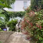 Albert - @albert_j_bradshaw - Instagram