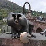 Albert Burger - @burger.albert - Instagram