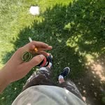Albert Allen - @albertburke603 - Instagram