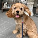 Albert Burke - @nadoxoj905 - Instagram