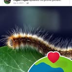 Albert Burson - Facebook