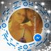 Albert Burris - Facebook
