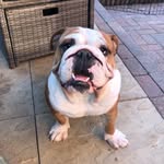 Albert Burrows - @albertburrows_ - Instagram