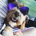 @albertbutters - Instagram