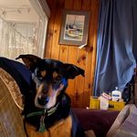 Norman Schultz - @albertbuttersesq - Instagram