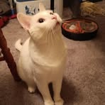 Albert Byers - Facebook