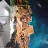 Albert Byer - @albert.byer - TikTok