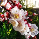 Albert Byrd - @albertbyrd603 - Instagram