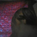 Albert Byrd - @albert.byrd420 - Instagram