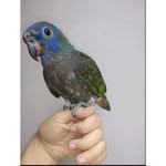 Albert Cabrera - @albert.cabrera.313924 - Instagram