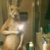 Albert Cabrera - @albert.cabrera0319 - TikTok