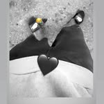 Albert Cabrera - @santana_0060 - Instagram