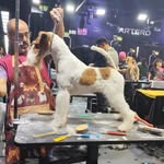 Albert Cabrera Freixas - @cabrerafreixas - Instagram