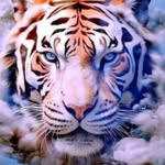 Albert Cadabes - @albertcadabes - Instagram