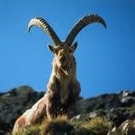 Albert Cadalbert - @albertcadalbert - Instagram