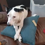 Albert Caddy - @lunacaddy65 - Instagram