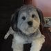 Albert Caiazzo-miller - Facebook
