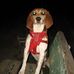 Albert Cala - Facebook