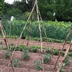 Albert Calaf Viñals - @albertcalafvinals - Instagram