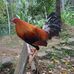 Alberto Cala - Facebook