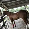 Albert caldera - @albert.caldera48 - TikTok