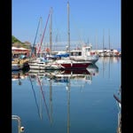 Albert Calvillo - @treefrog756 - Instagram