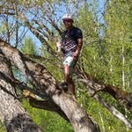 Jesus Alberto Calvillo Diaz - @jesus_alberto_calvillo - Instagram