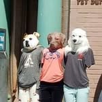 Albert Calvin - @tiger_trusts_no_one - Instagram