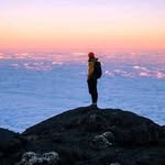 Albert calvin - @albertcalvin39 - Instagram