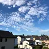 Albert Camps - @albertcamps2 - TikTok