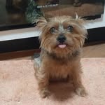 Igor Albert Canavarro - @igor_albert_canavarro - Instagram