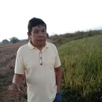 Albert Canlas - @canlas_albert - Instagram