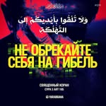 Альберт - @albert_cannes06 - Instagram