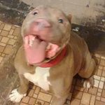 Curtis Albert Cannon - @curtisalbertcannon - Instagram