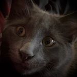 Murdoch Albert Cannon - @murdoch.a.cannon - Instagram