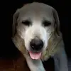 Concha Cantos Albert - @albertocantos - TikTok