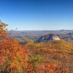 Albert Cantrell - @albertcantrell - Instagram