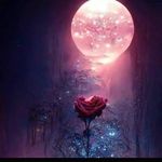 Alberto capilla rosas - @alberto_capilla_rosas_ - Instagram