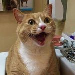 Albert Ben Carlson - @albertbencarlson - Instagram