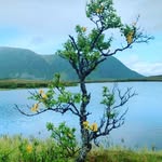 Albert chalas - @albert_chalas24 - Instagram