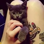 Albert Chen - @albert_cheney - Instagram
