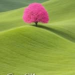 Albert Cheng - @madav4103 - Instagram