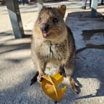 Albert Chien - @albert.chien - Instagram