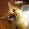 albertchien3355 - @albertchien3355 - TikTok