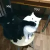 albert - @albertching - TikTok
