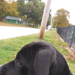 Albert Cochrane - @albertcochrane6 - Instagram
