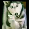 Alberta Coley - @alberta.coley7 - TikTok